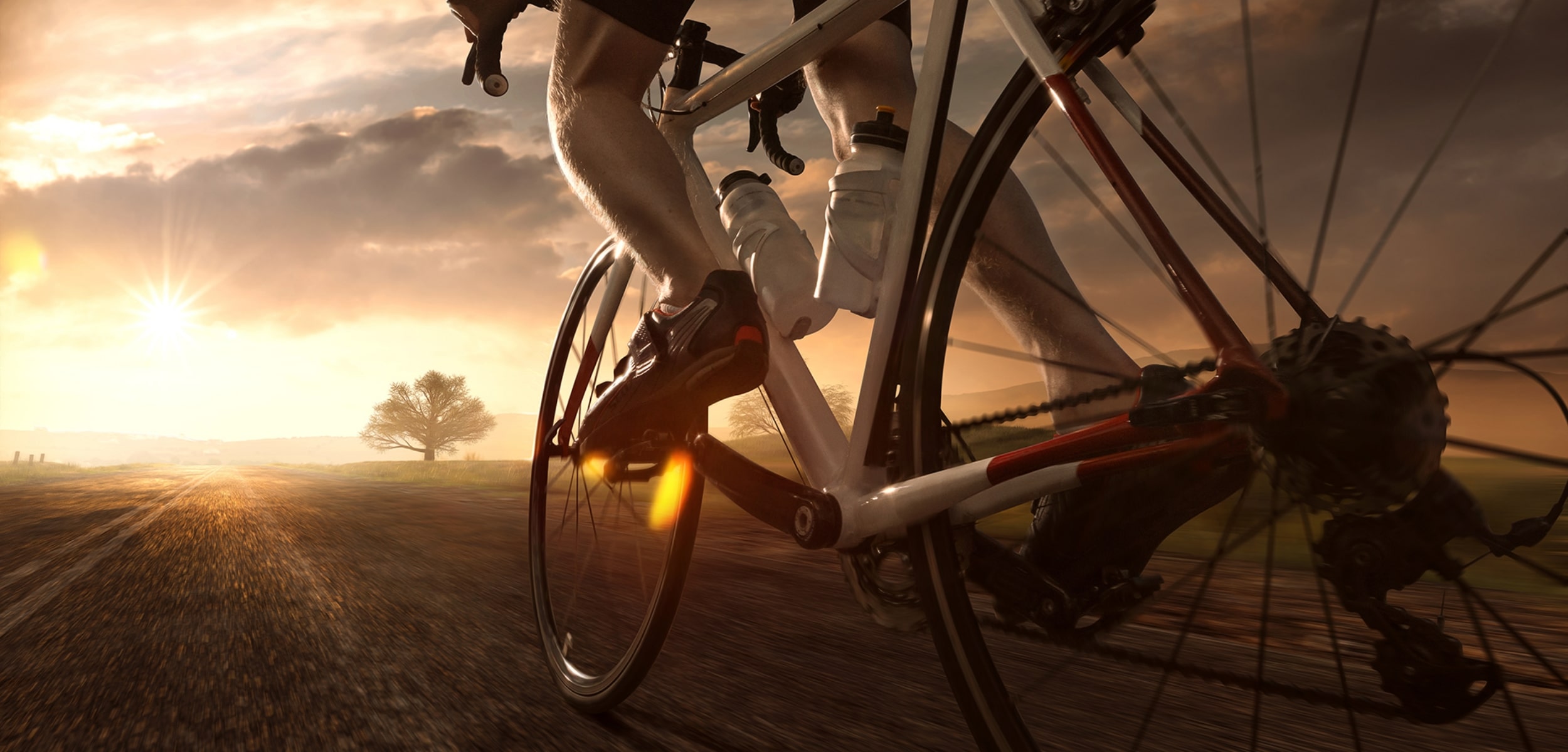夕日に向かって自転車をこぎ出す写真